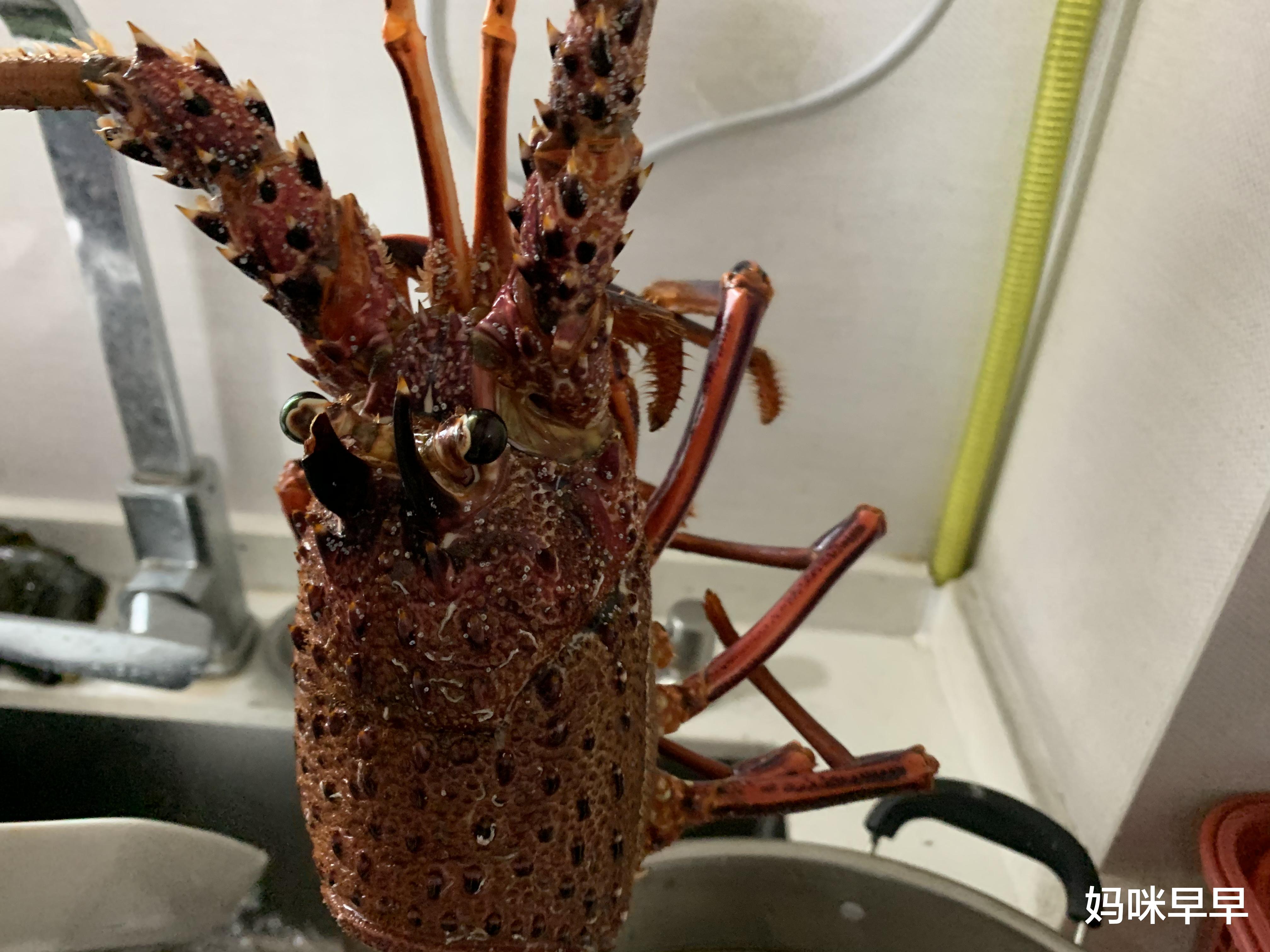 辣子鸡|二叔家中宴客,10几道菜太过丰盛,朋友:我也想去你家蹭饭
