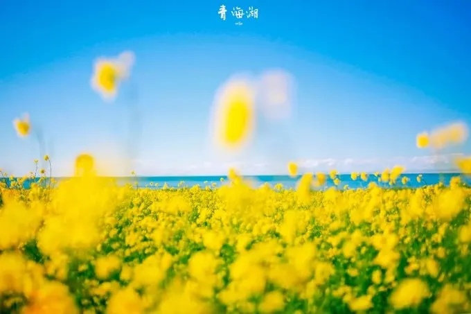 木格措@7月最适合去哪玩？看完这篇就知道！