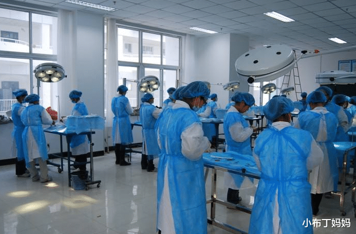 自动化|今年高考已收官，5大本科报考热门专业出炉，下届考生需提前知晓