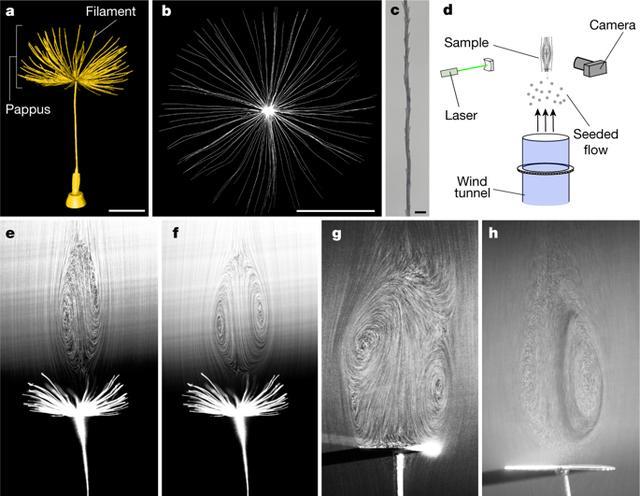 [科学家]科学家：我们找到了新的飞行方式，未来制造飞碟或将成为现实！