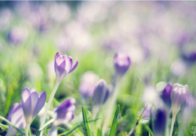 #天蝎座#此3生肖女从不缺钱,老公的钱都交给她管,富贵十足,真让人羡慕