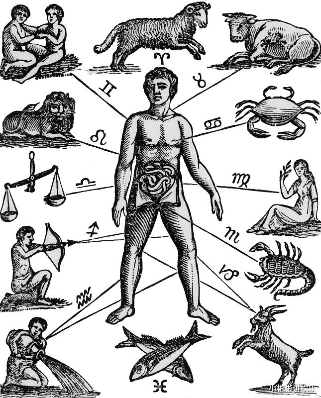 生肖|爱上一个人，就会毫无保留的去付出，以下四大星座就是这样的人