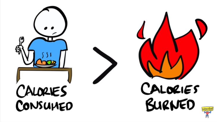 蛋白质▲瘦子如何练壮增肌？一次看懂！