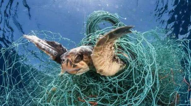 科学家▲潜龙3号有新发现，地球海底到底有什么？令科学家惊惶不安