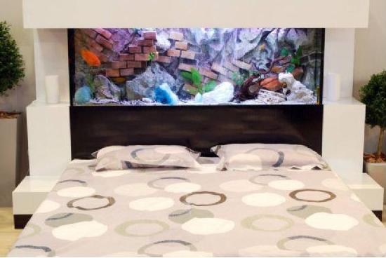 []你家卧室要是有“这”几样东西的话，赶紧回家换掉，影响生活