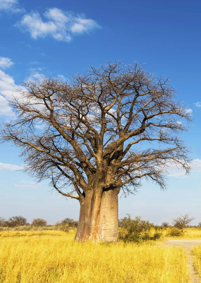 星耀见闻 段丛芳//从《热爱生命》里读出生命的极光