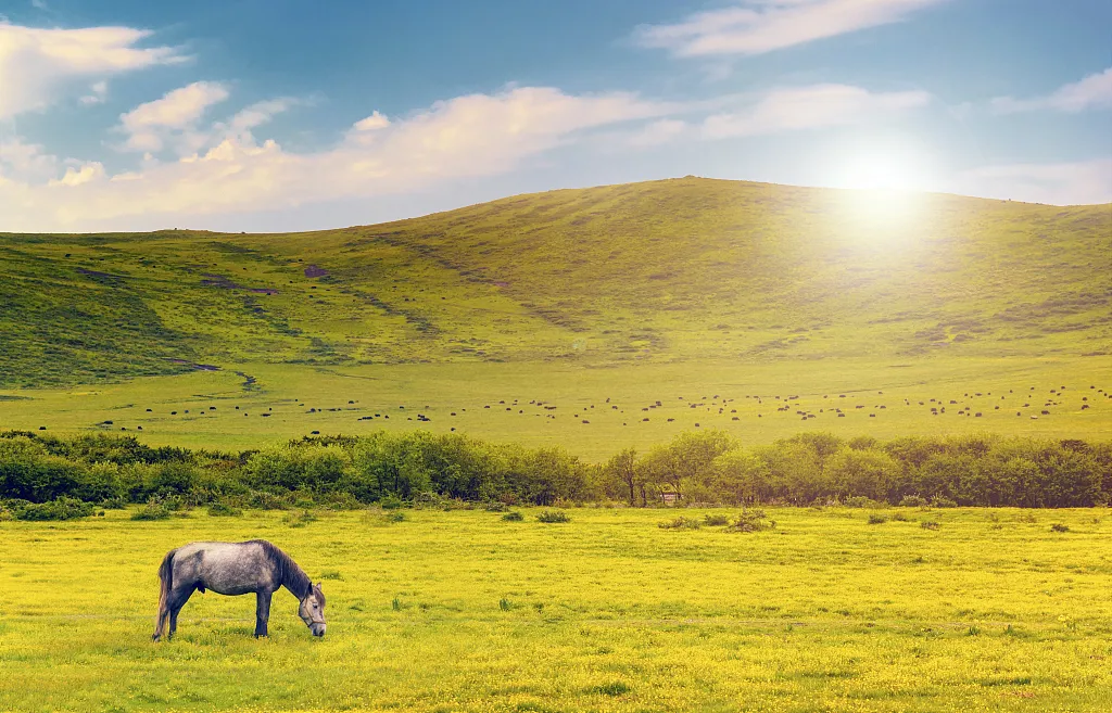 66号公路▲中国的66号公路！这条藏在川西的草原天路，每一帧都是流动的大片|思鹿旅行推荐