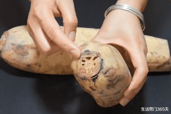 ：莲藕只用清水洗，等于吃虫卵，教你一招，泥土虫卵全跑光！