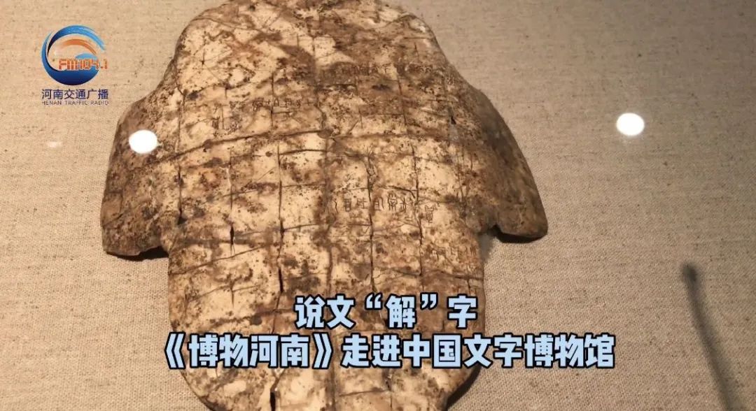 「博物馆」认出一个字奖励10万现金，已经有人领走……