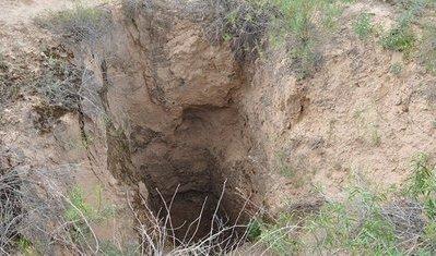 考古▲盗墓者盗走墓中全部文物，考古队抬头看了一眼后，突然哈哈大笑