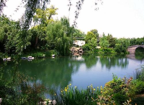 南宁|岁月悠悠：儿时小水坑里的鱼儿，味道格外香