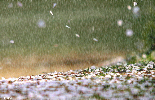 『密切接触者』上班的大连人早点出门！大风！雨！降温…