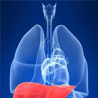 #肝脏#如果肝胆有问题，背会痛吗？还有什么症状？看看医生怎么分析！