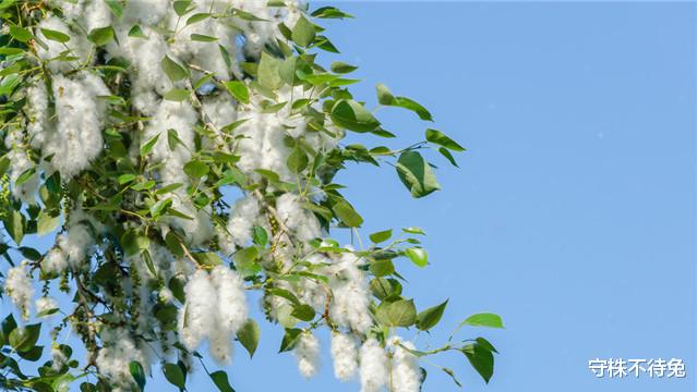 #鳄鱼#10个冷知识:没电的电池咬一下,为什么就能重新使用了