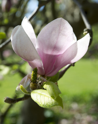 生肖|8月份，4属相好运连连，财源广进，万事如意，成就一番事业