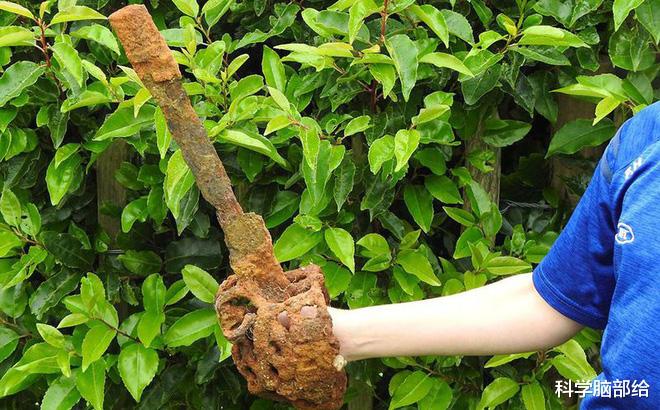 金属探测器|一个10岁的男孩在玩金属探测器时，发现一个许多人渴望得到的“宝贝”