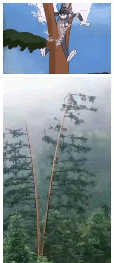 「」这就是妈妈不让爸爸带女儿，去钓鱼的关键原因