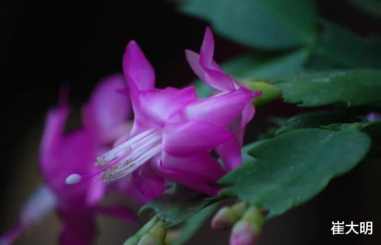 【生肖】7月开始喜事躲不掉，赚盆满钵满，可算熬出头的四大生肖