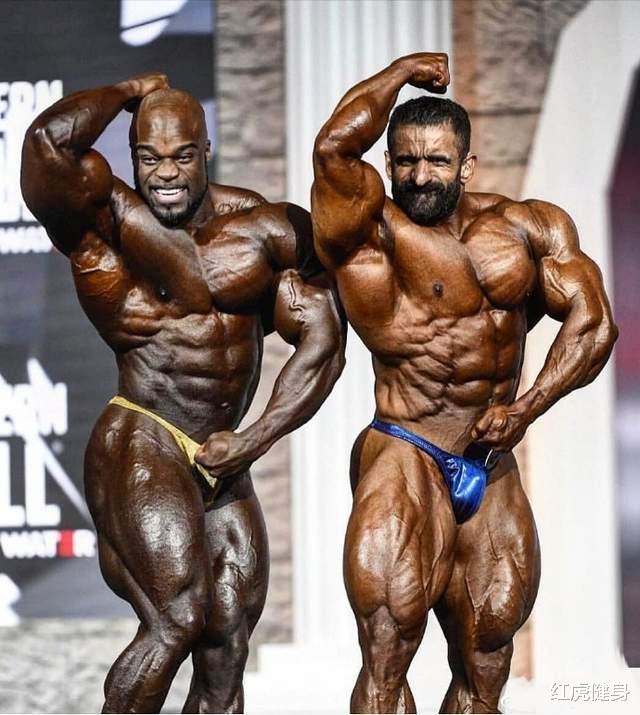 哈迪|亚洲巨兽“波斯狼”哈迪，坦克背的训练方法