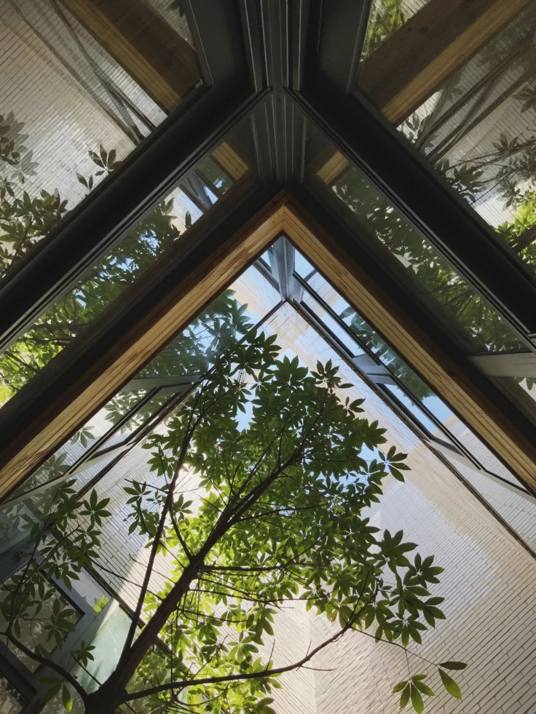 今年过年，如何让父母实现住房自由？三个年轻人用极低成本做到了