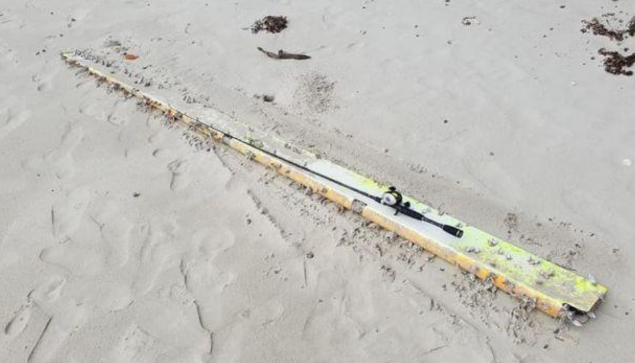 疑似MH370的殘骸被沖上海灘，帶來新希望，失蹤飛機的謎團可以解開？-圖2