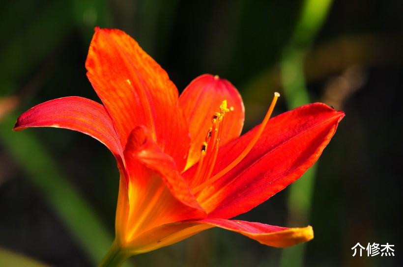 [生肖]六月份下旬，情商智商双高，很抢手，非常受异性的欢迎的四大生肖