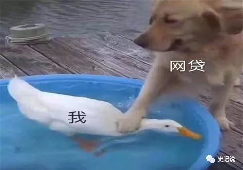 [直播平台]2020年80%网贷平台将倒闭，深陷网贷的借款人终于有机会上岸了