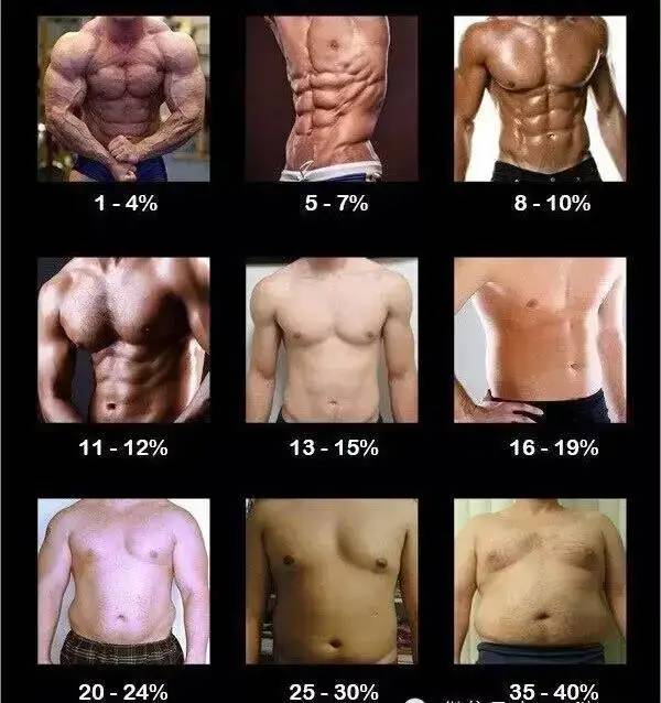 健身|一张图告诉你，体脂率15%的男生有多帅！