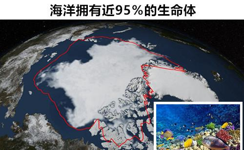 |海洋冷知识：存在于在海洋里的，9个让人感到惊讶的有趣事实