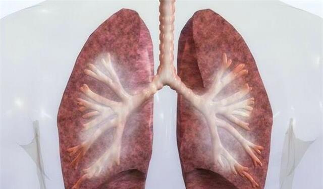 肝脏：保护身体的肝脏，除了不饮酒之外，还有什么要点相对比较的重要？