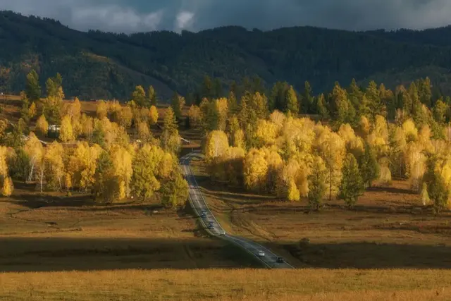 自驾|全国最早一波秋色来了！这6条自驾路线，9、10月美成天堂