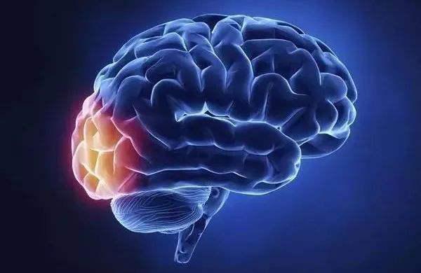 梅花|老年痴呆测试：只看到5只梅花鹿的人很危险！小心痴呆“纠缠”