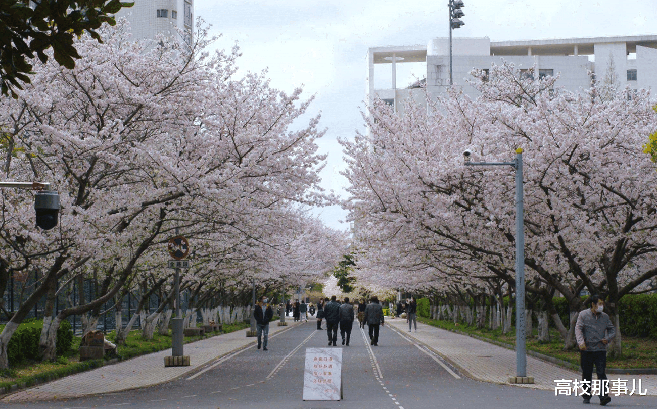 清华大学|中国录取分最高的5类大学,考生只有达到630分以上,才有希望被录取