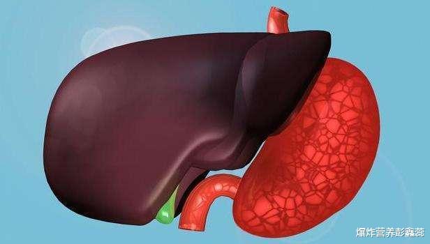 肝脏|肝脏好不好，从大便上可以看出端倪，如果你有这3种现象要养肝