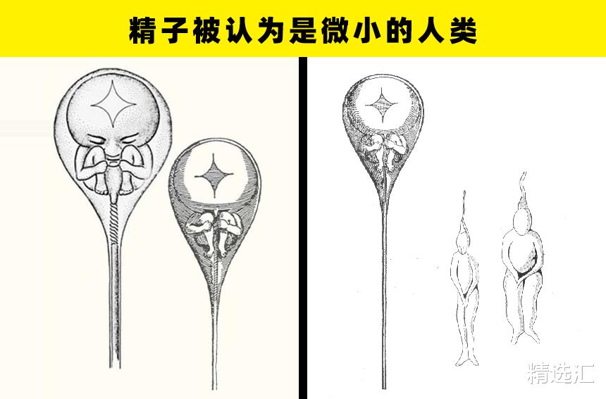|让现代人感到疯狂,但中世纪的欧洲人认真相信着的7件事