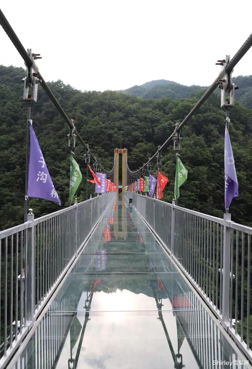 东三省 又一4A景区申请破产，已负债过亿，曾是“中国最佳休闲度假胜地”