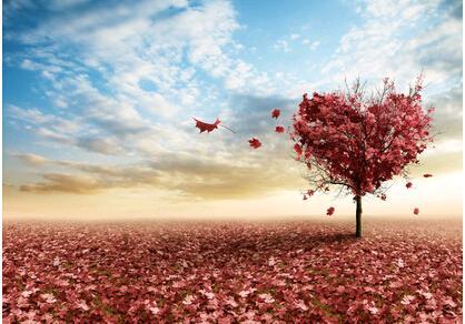 ##3月,知你冷暖懂你心事,将偶遇新欢甜如蜜的星座,再次相信爱情