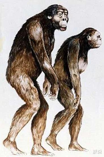 「毒液」新生代生物图鉴：哺乳动物顽强对抗恐龙后代，人类先祖出现