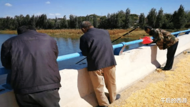 青铜器|老汉钓鱼发现一只“乌龟”,背上插着四支箭,箭的主人来历非凡