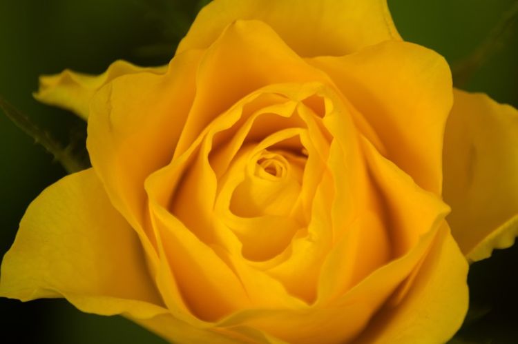 天蝎座|10月下旬开始好运降临，财库大开，前程似锦的四大生肖