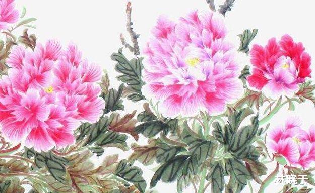 生肖|最容易动情的三种生肖女，天生风流，尤其第三个?，太准了