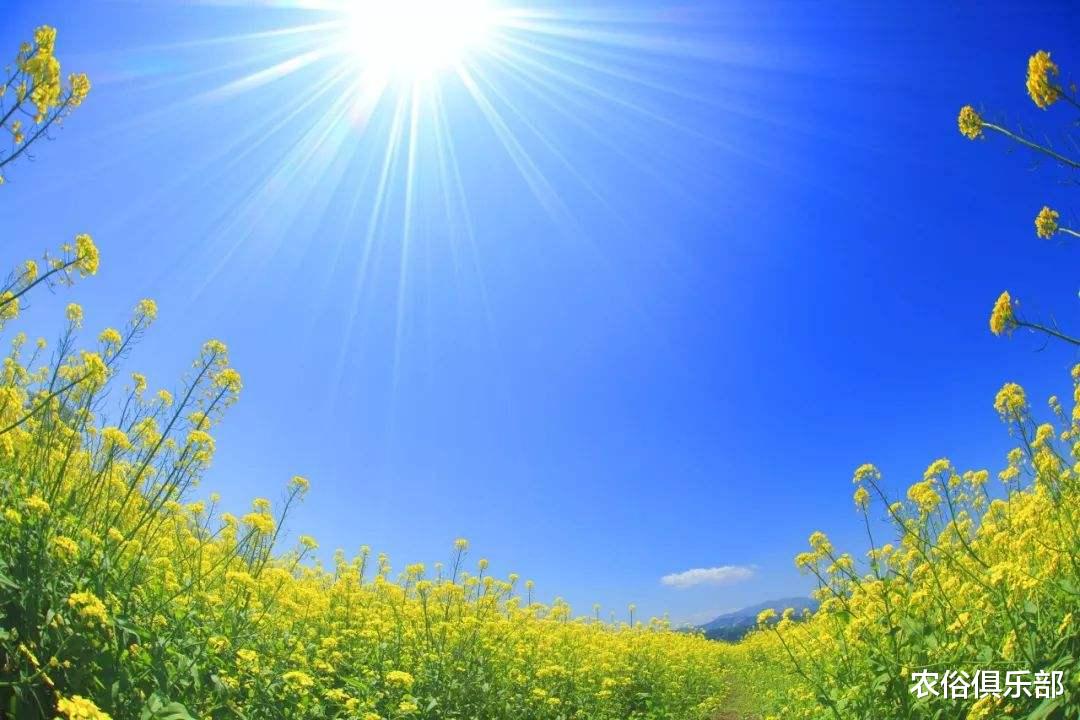 农俗俱乐部|7月16号入伏，40天的伏天，老农常说“入伏有6怕”是哪6怕呢？