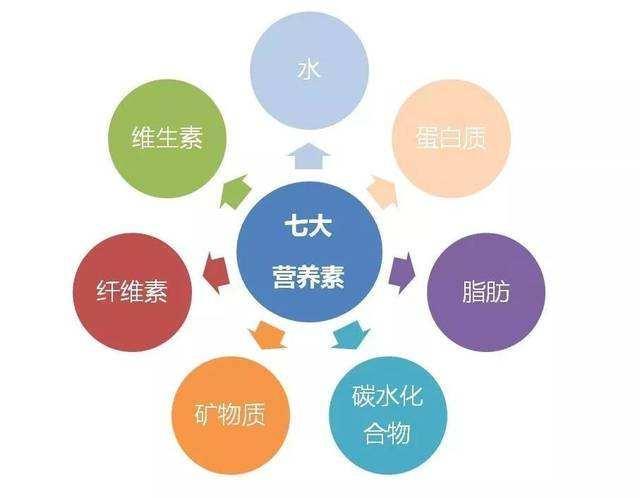 【减脂】健身减脂这样搭配食物，才能避免反弹，达到更好的减脂效果