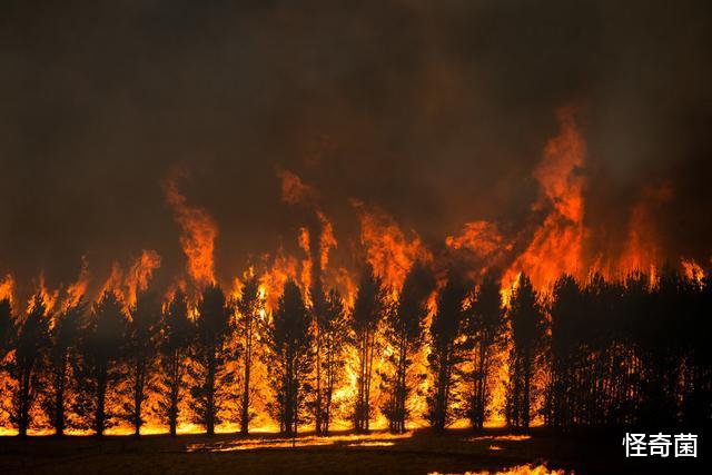『』地球含氧量瞬间翻一倍会怎样？五种可能情况，每个都让人害怕