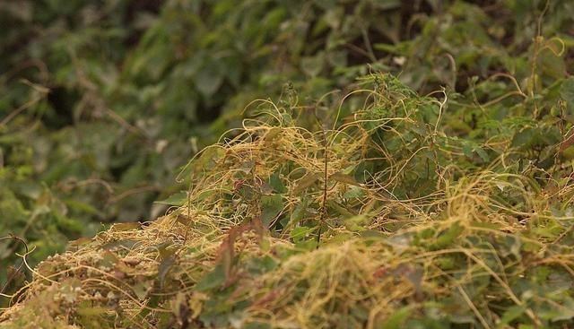 肾病|不想肾病缠身?请拒绝5种“高盐值”食物,肾可能慢慢变强壮