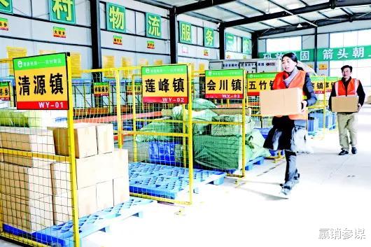 「电子商务」突破1300万家，农村电商风口之下，这些项目都能赚大钱