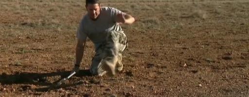 毒蛇|内陆太攀蛇是地球最毒的毒蛇，为什么致死率却是0？