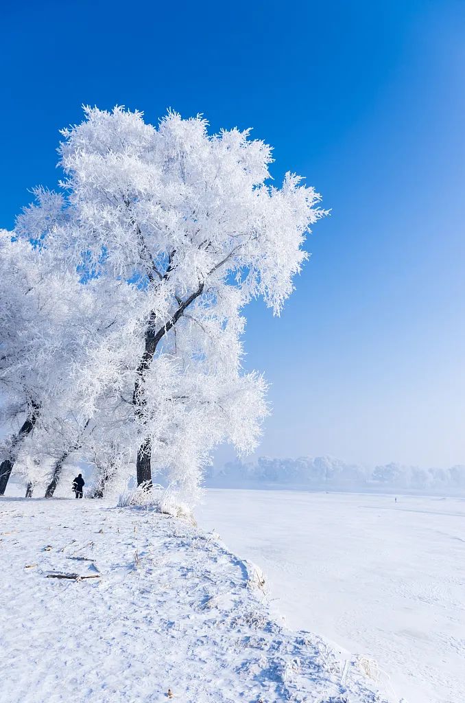 旅行|跨省旅游恢复!这些现有确诊为零的神仙省份,趁着人少赶紧去!思鹿旅行推荐