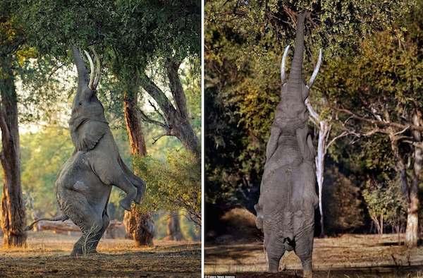 ##直击全球15张超罕见的照片：可能你一辈子都看不到！