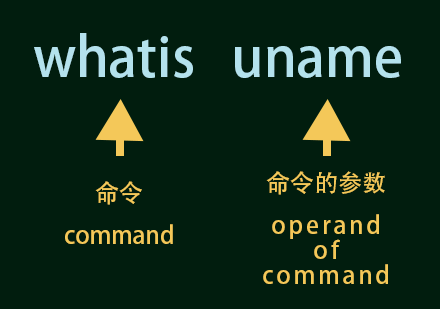 Linux|oeasy教你玩转linux010104灵魂之问whatis